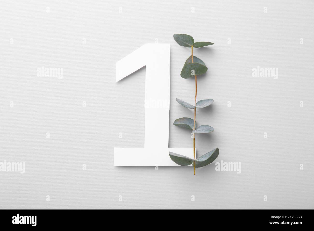 Paper number 1 and eucalyptus branch on light grey background, top view ...