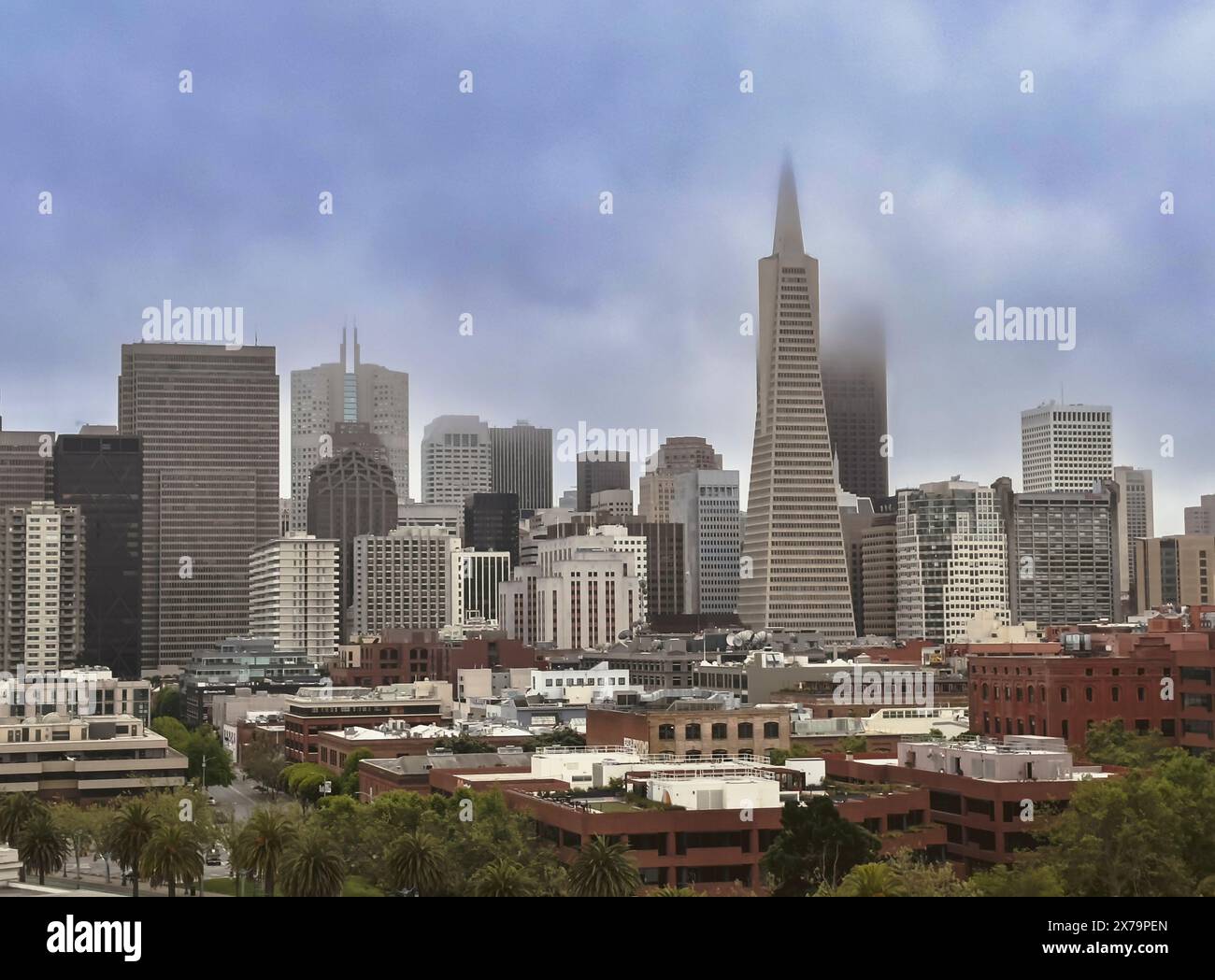 San Francisco skyline panorama shows Transamerica building & other landmarks in the commercial center in early morning typical May fog. Stock Photo