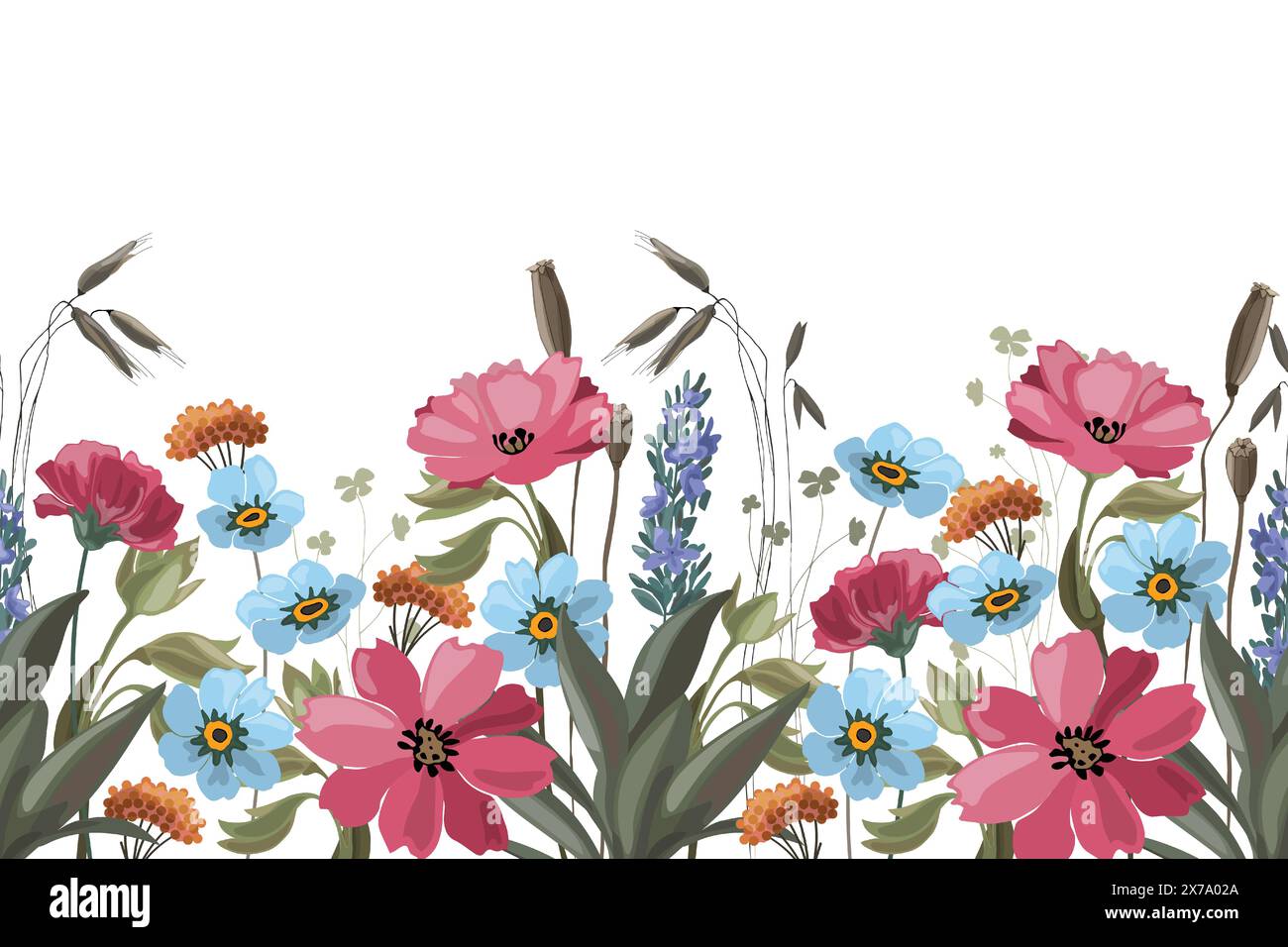 Floral seamless horizontal pattern, border with meadow flowers Stock ...