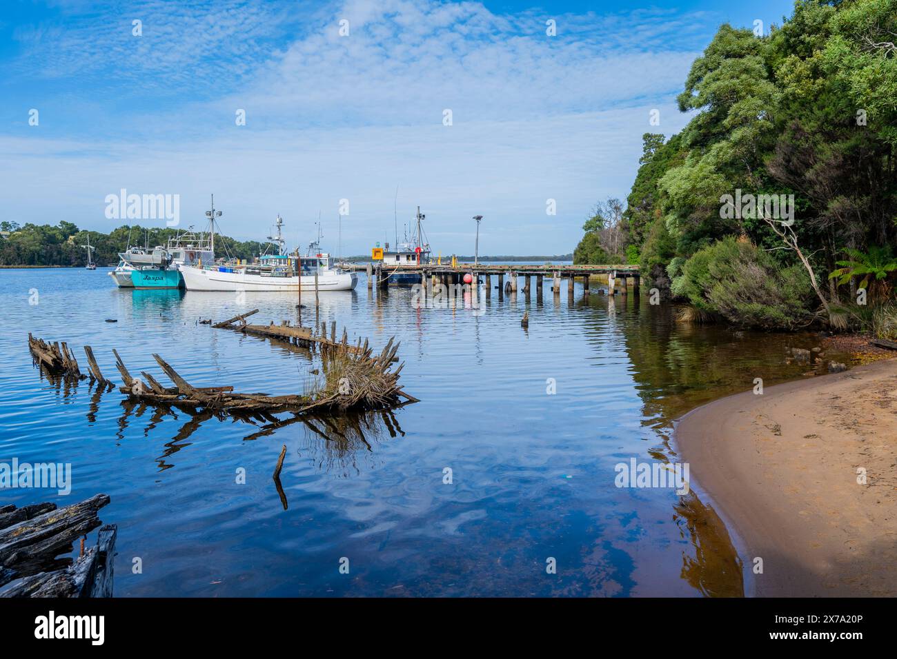Remains of wooden timber barges abandoned and rotting in Risby Cove ...