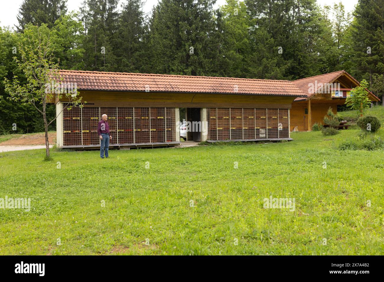 Ponova Vas, Grosuplje in central Slovenia. 18th May, 2024. A beekeeper ...