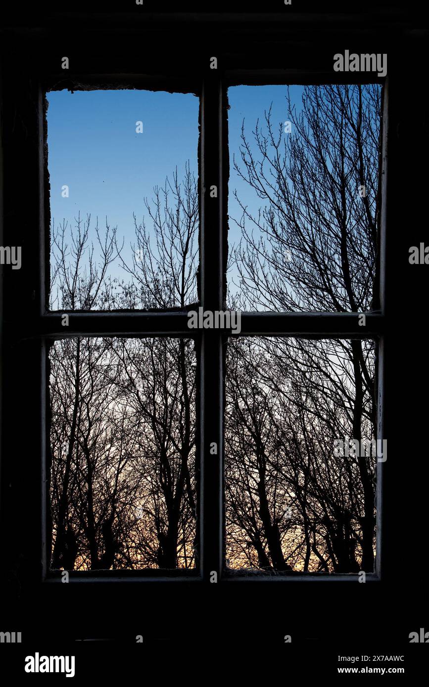 Illustration, nature and window with trees on sunset in countryside or rural area for peace at home. Frame, wallpaper and woods or forest for holiday Stock Photo