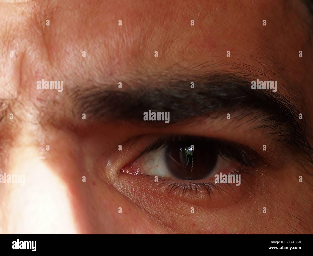 Close-up eye of a dark-skinned man with wide thick eyebrows and long eyelashes.OLYMPUS DIGITAL CAMERA Stock Photo