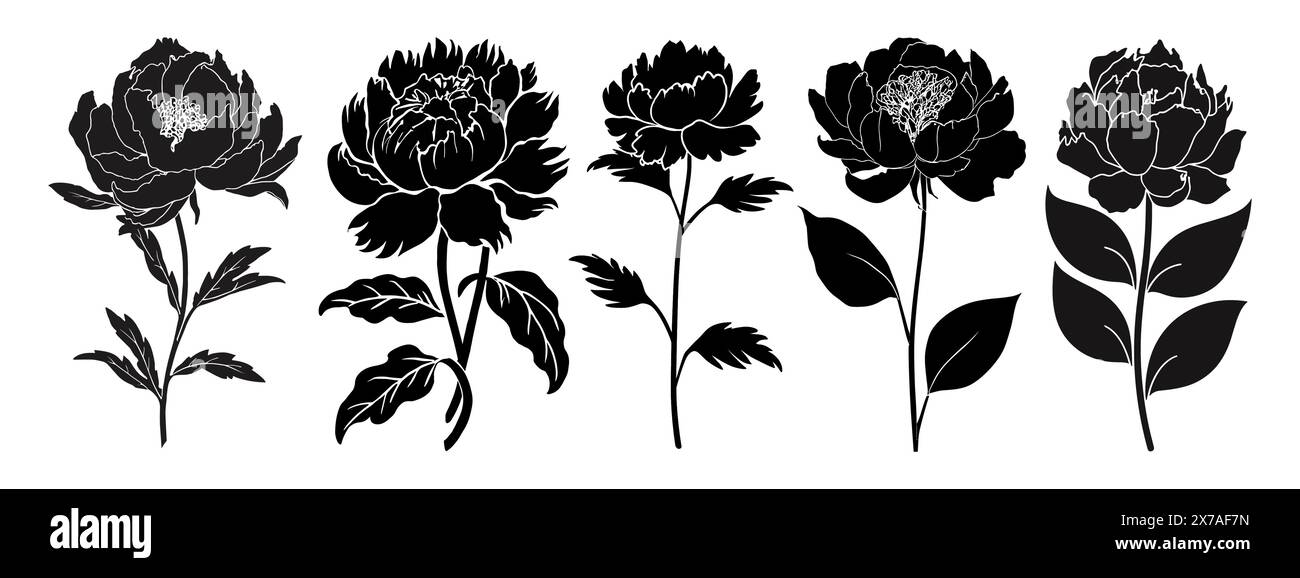 Set of black silhouettes of peony flowers Stock Vector Image & Art - Alamy