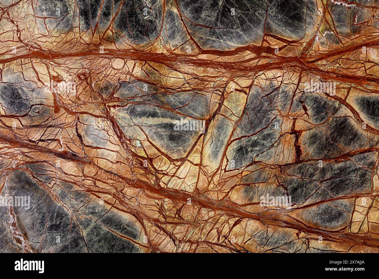 Excellent Rainforest Green Extra marble background, texture in expensive. Stock Photo