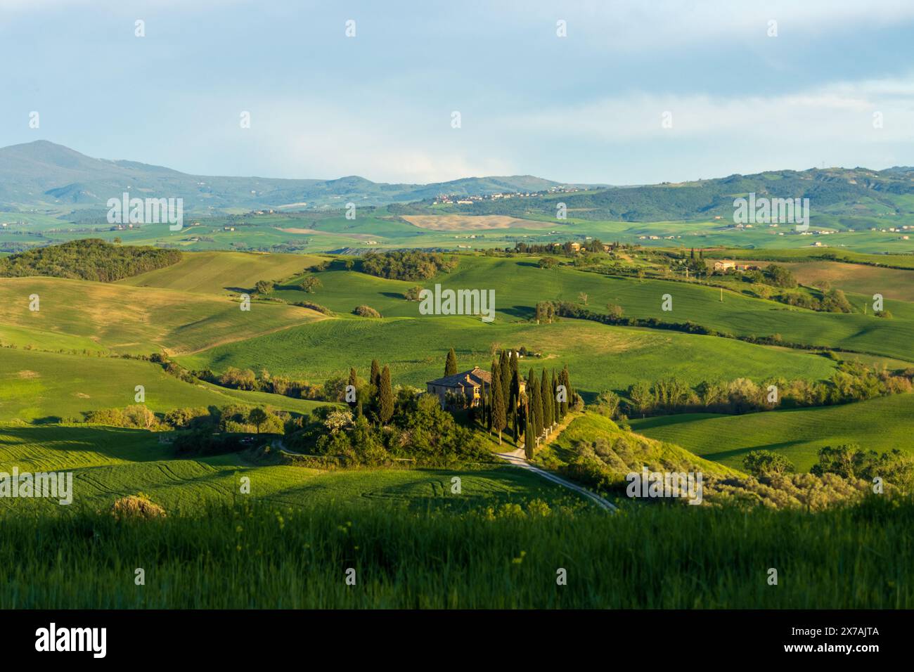 The Beautiful Landscape Of Val D Orcia Near Pienza In Rural Tuscany In the-beautiful-landscape-of-val-d-orcia-near-pienza-in-rural-tuscany-in