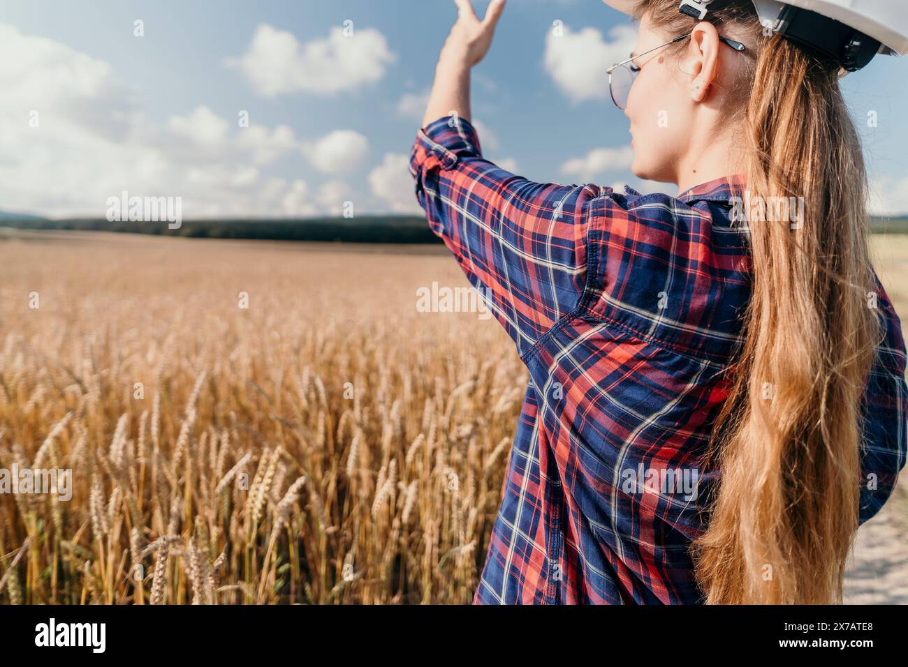 Hand farmer touching ears wheat hi-res stock photography and images - Alamy