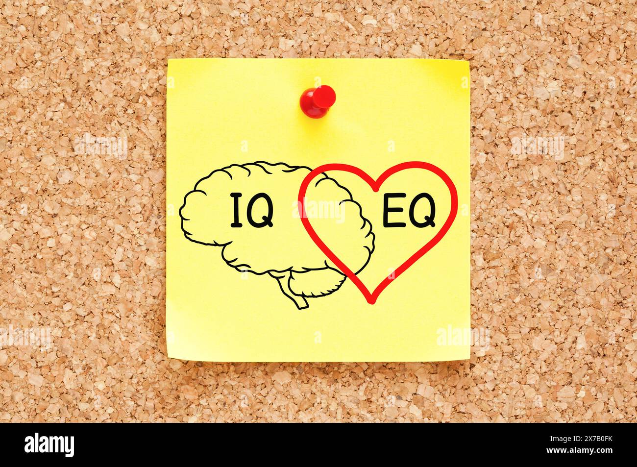 Brain and heart concept about IQ intelligence quotient and EQ emotional intelligence drawn on yellow sticky note. Stock Photo