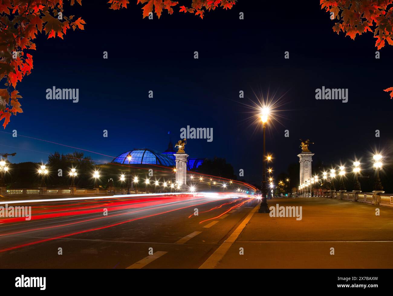 Alexandrovsky Bridge with night lighting in Paris Stock Photo