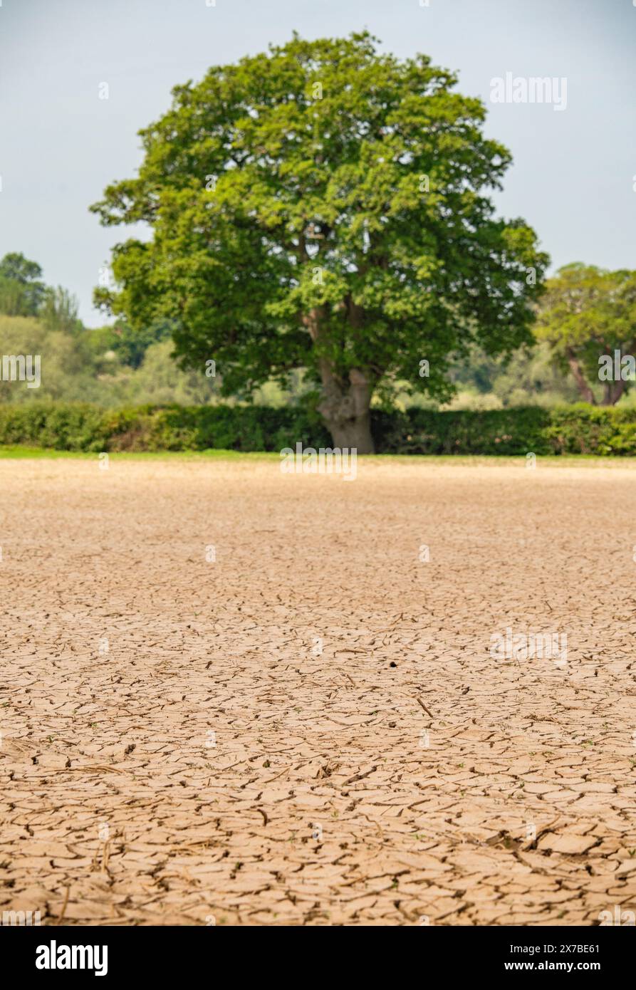 Dry and cracked soil in a field in rural Worcestershire, during dry weather Stock Photo