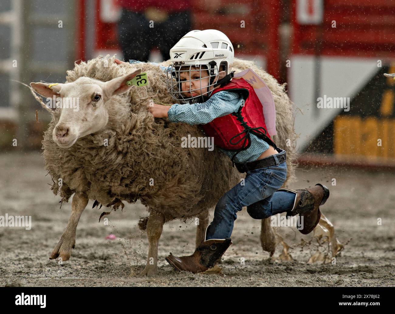 Surry Rodeo Rides Rodeo mutton bustin hi-res stock photography and images - Alamy