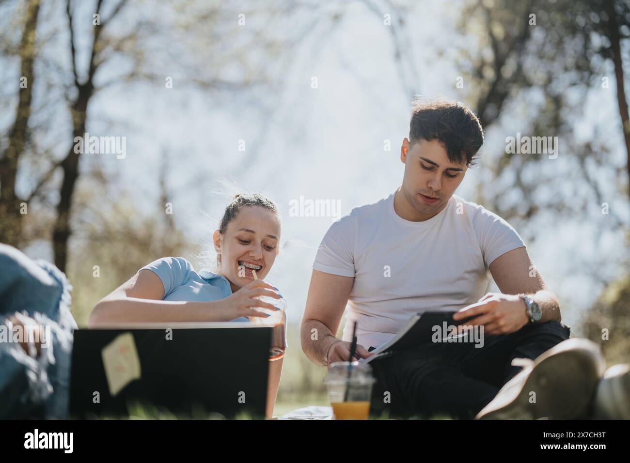 High school students studying together in sunny city park Stock Photo ...