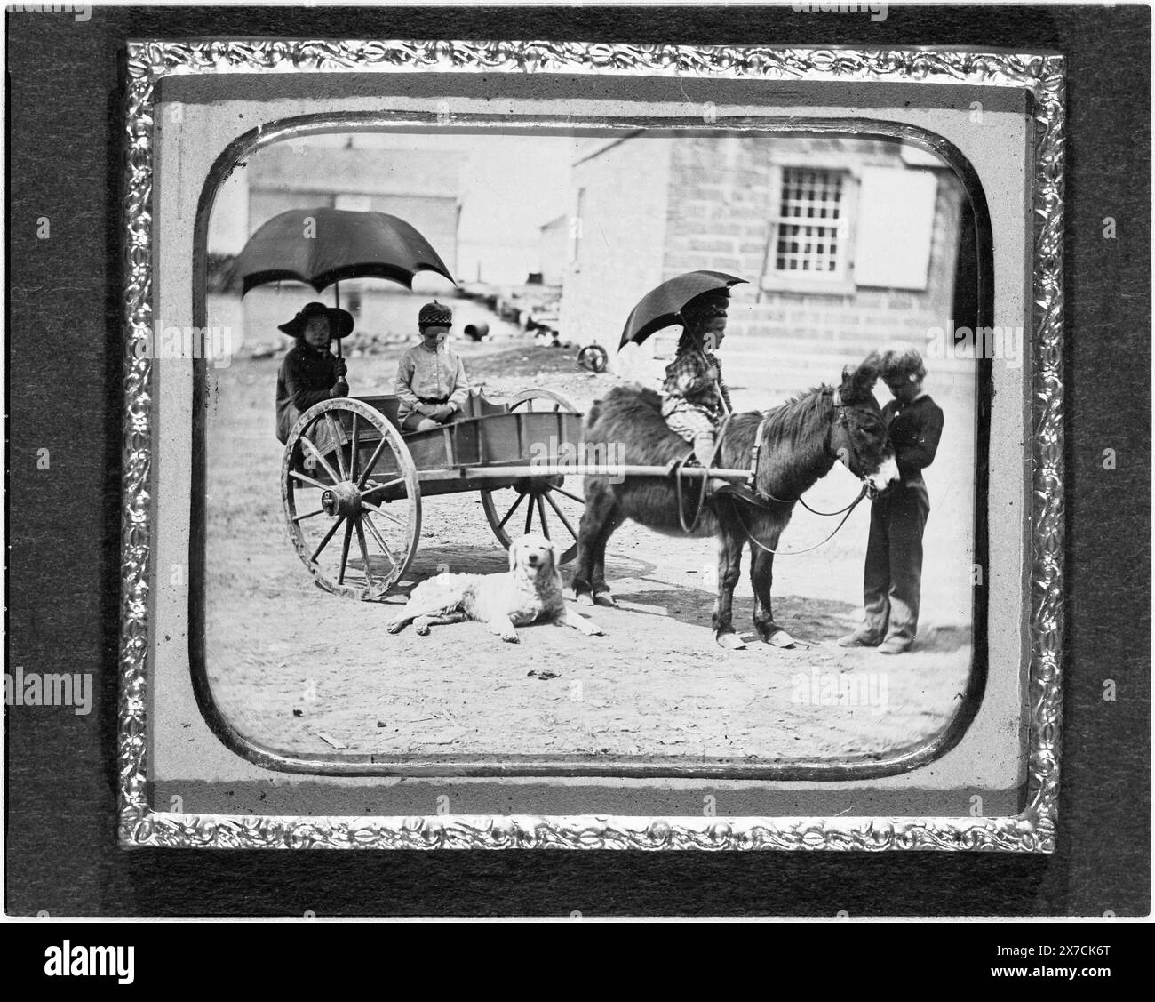 Children of Lt. Montgomery C. Meigs, in donkey cart with dog, probably ...