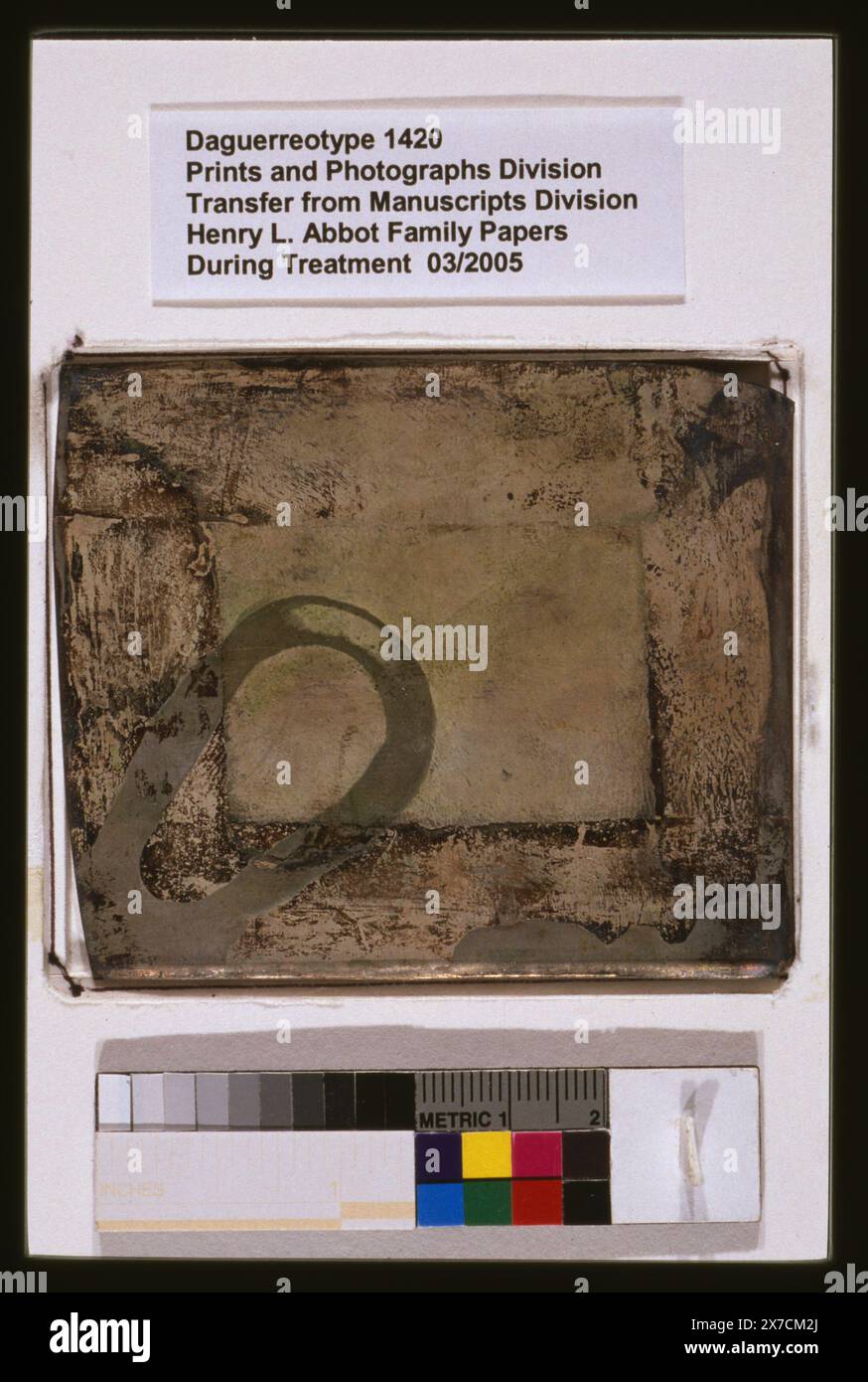 Mary susan everett hires stock photography and images Alamy