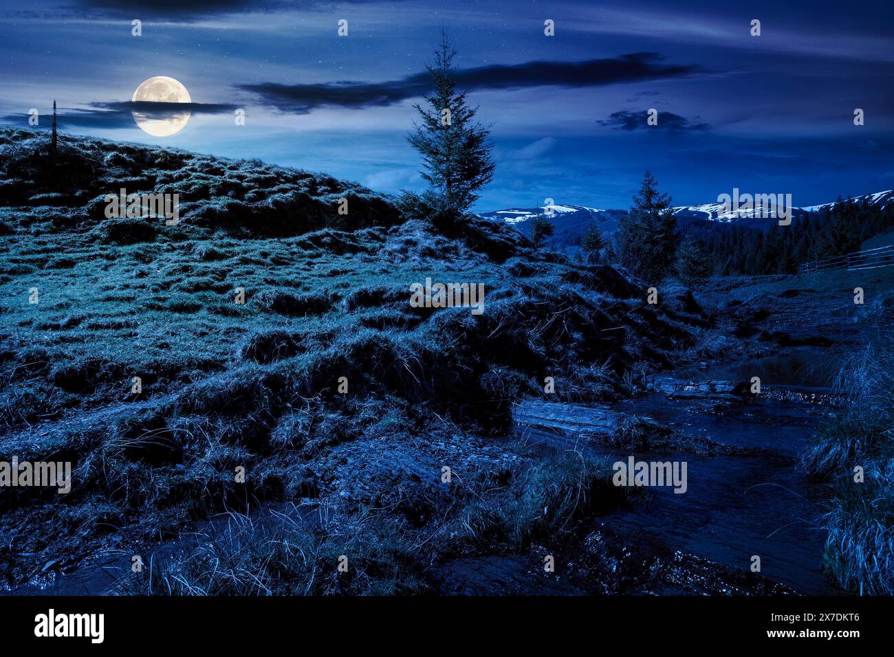 countryside mountain landscape in springtime at night. trees on the grassy meadow. small brook in the valley in full moon light. forested hills on the Stock Photo