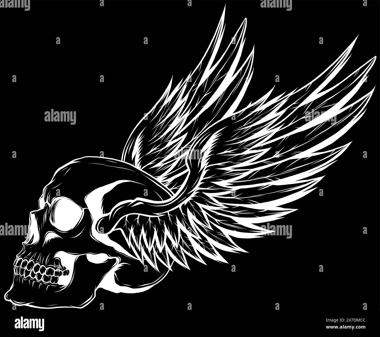 Black and white human skull vector illustration Stock Vector Image ...