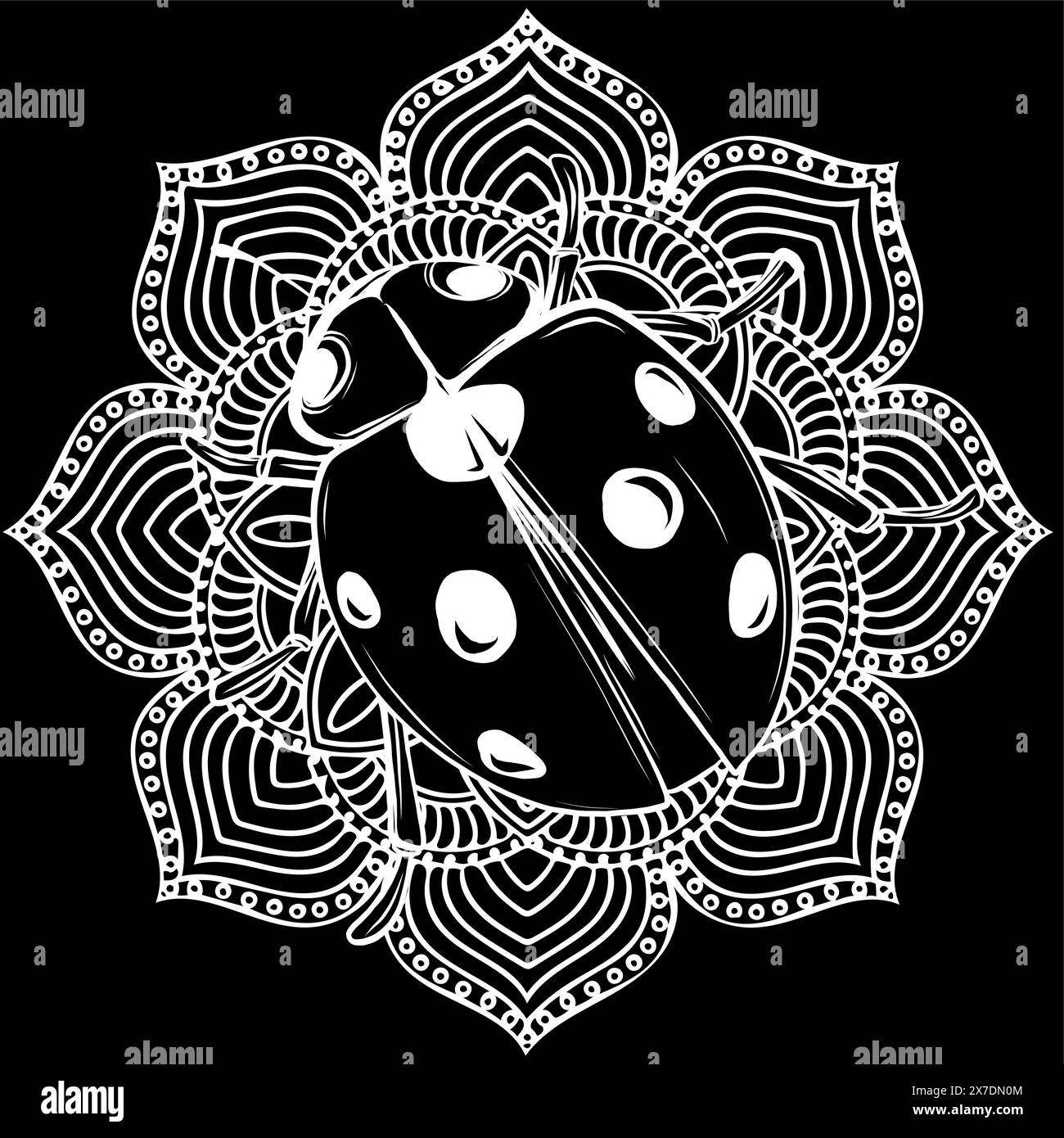 Ladybug in white line on black background Stock Vector Image & Art - Alamy