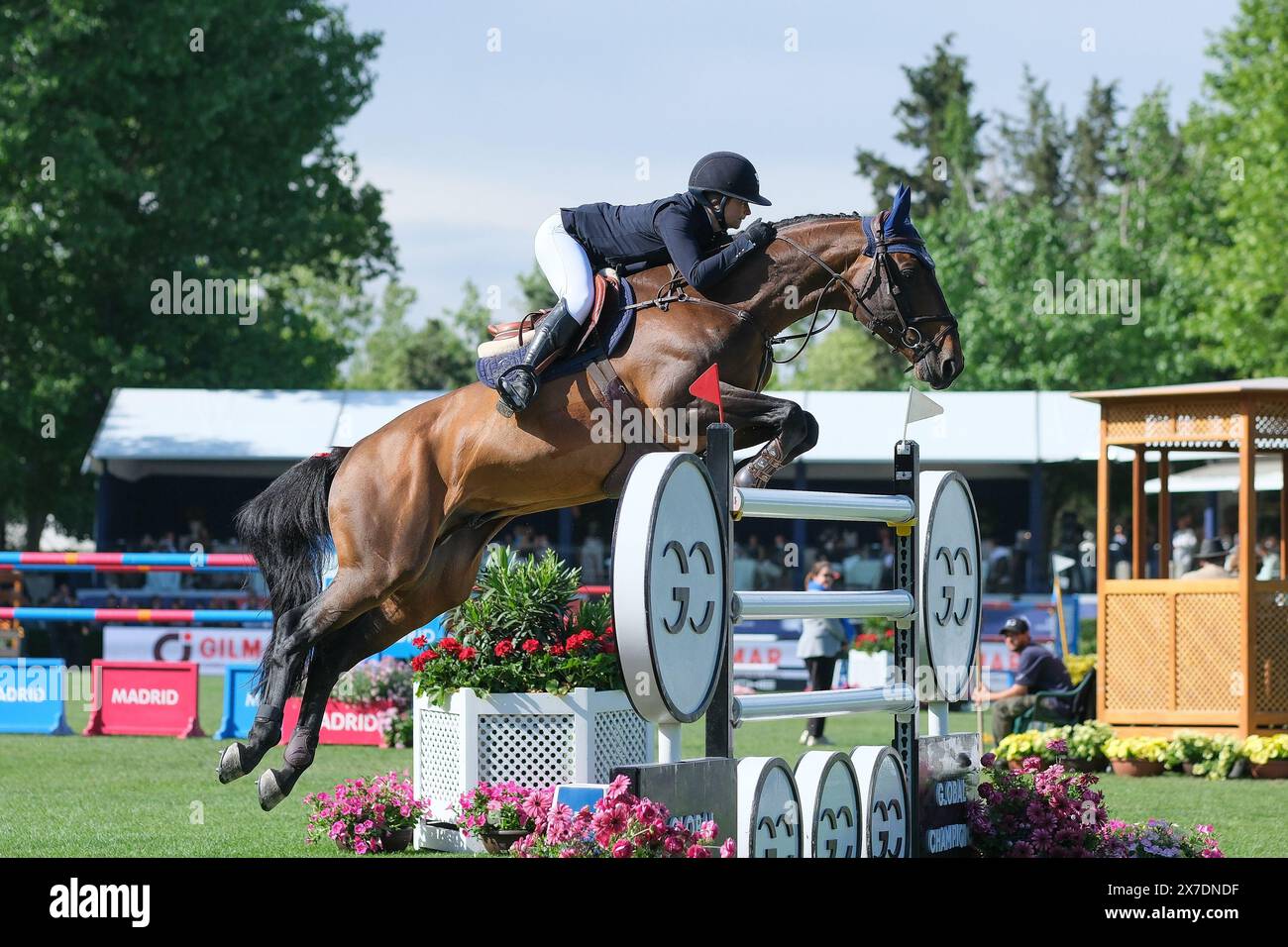 A rider in action during the Longines Global Champions Tour Madrid at Club de Campo Villa de Madrid on May 19, 2024, in Madrid, Spain. Stock Photo