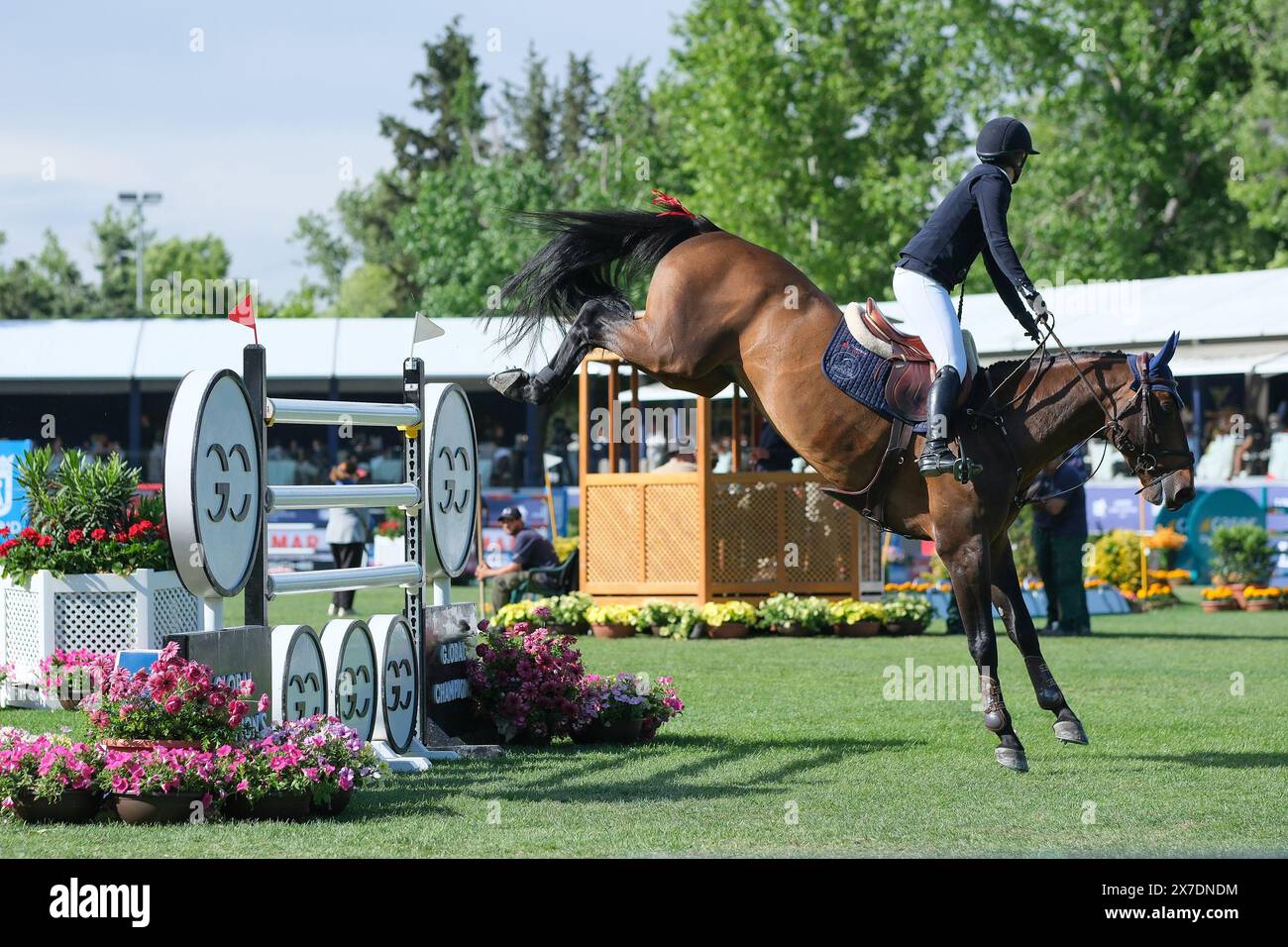 A rider in action during the Longines Global Champions Tour Madrid at Club de Campo Villa de Madrid on May 19, 2024, in Madrid, Spain. Stock Photo