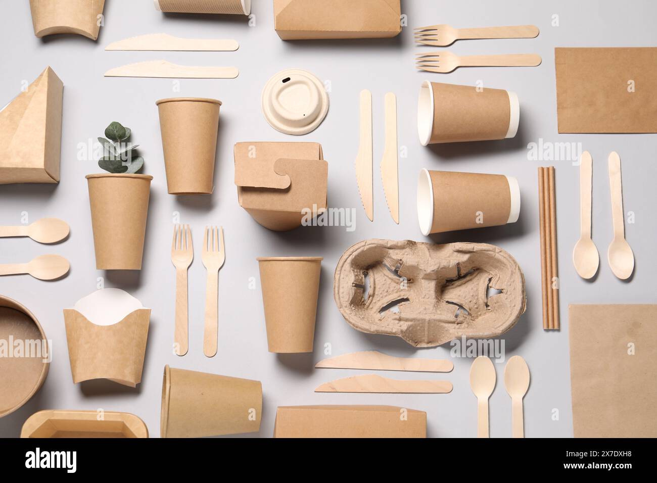 Flat lay composition with eco friendly food packagings and eucalyptus ...
