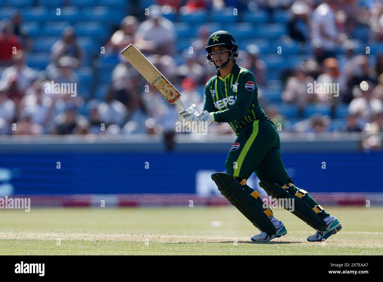 Aliya riaz hi-res stock photography and images - Alamy