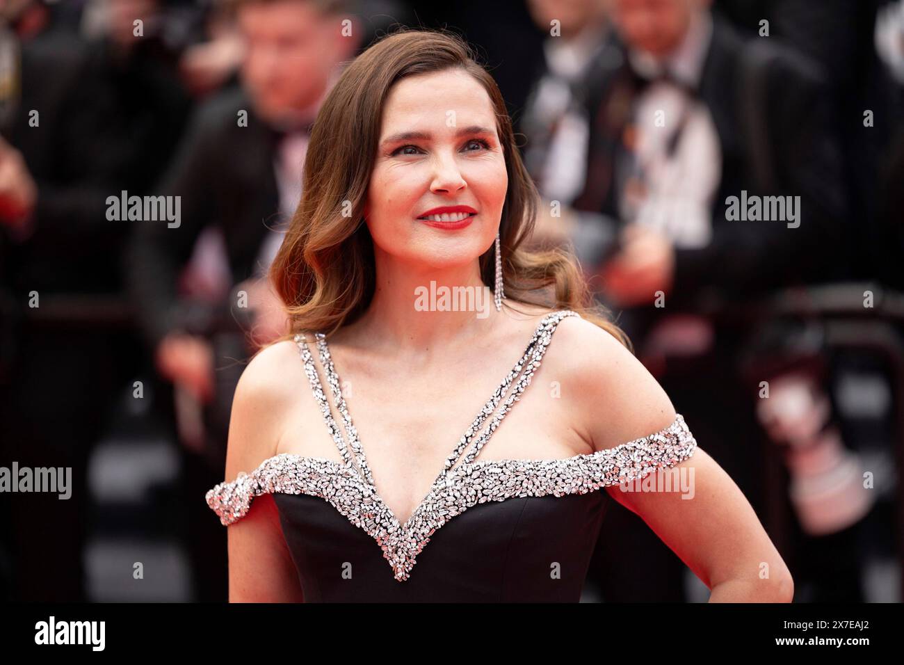 Virginie ledoyen hi-res stock photography and images - Alamy