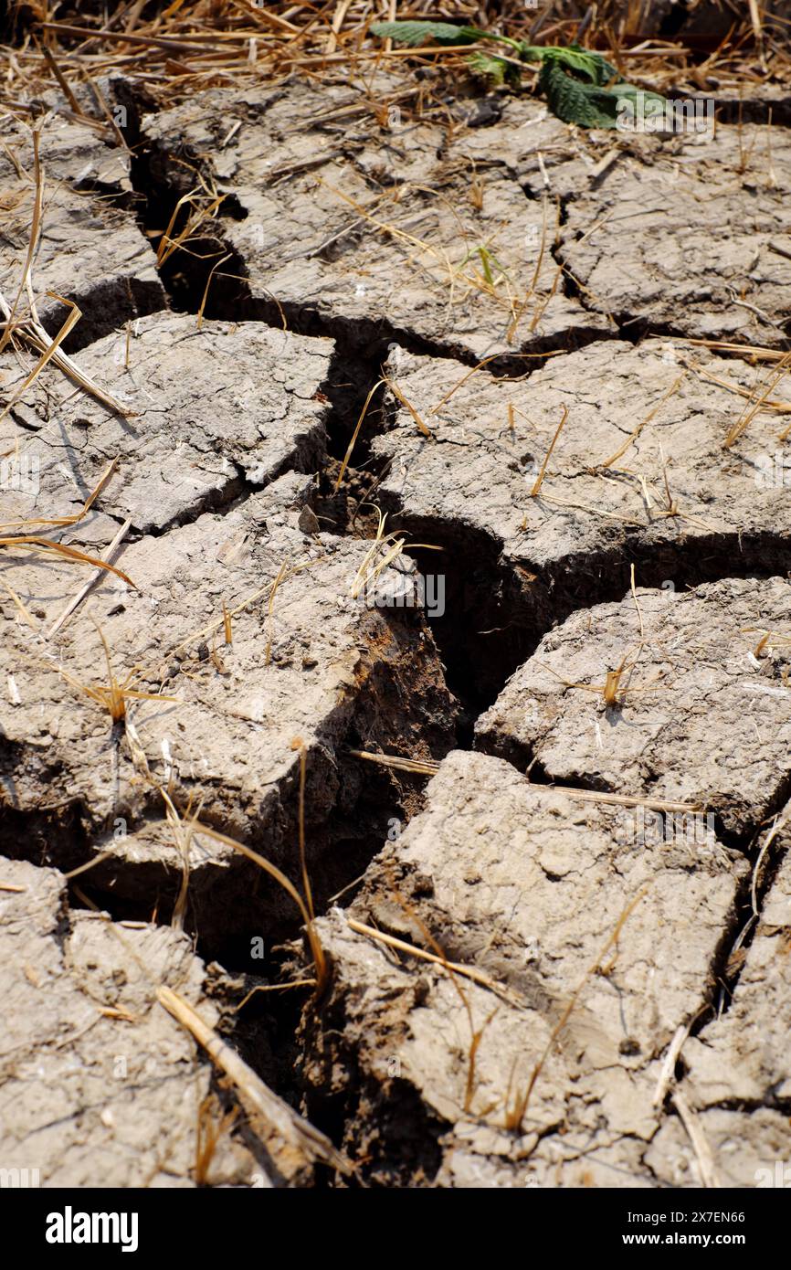 Field cracks hi-res stock photography and images - Alamy