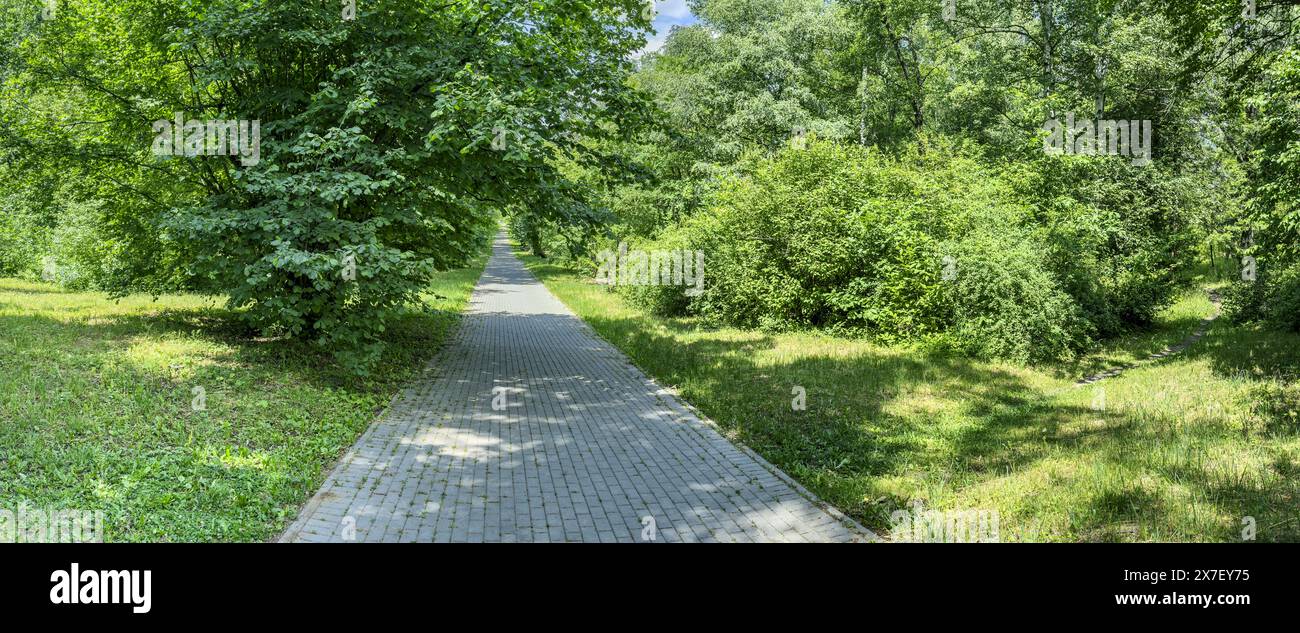 path through summer park surrounded by green trees lit by sunlight. panoramic view. Stock Photo