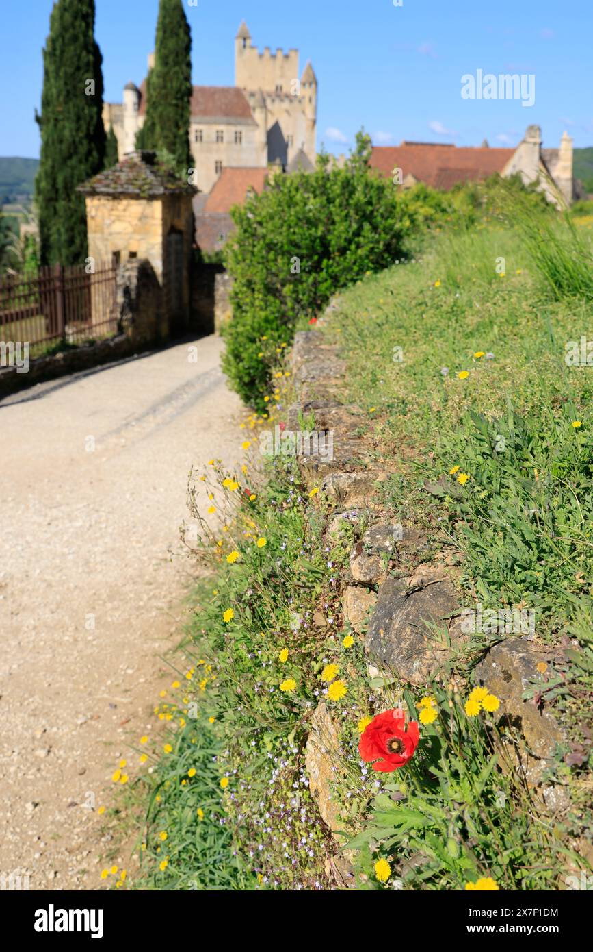 The fortified castle of Beynac in Périgord Noir in south-west France. Beynac is classified among the most beautiful villages in France. Middle Ages Hi Stock Photo
