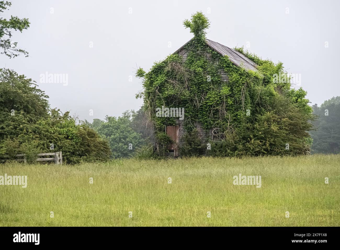 Overgrown abandoned farmhouse in North Georgia. (USA) Stock Photo