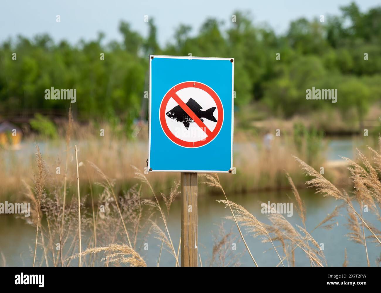 Prohibitory sign fishing is prohibited against lakes and forest in the park. Stock Photo