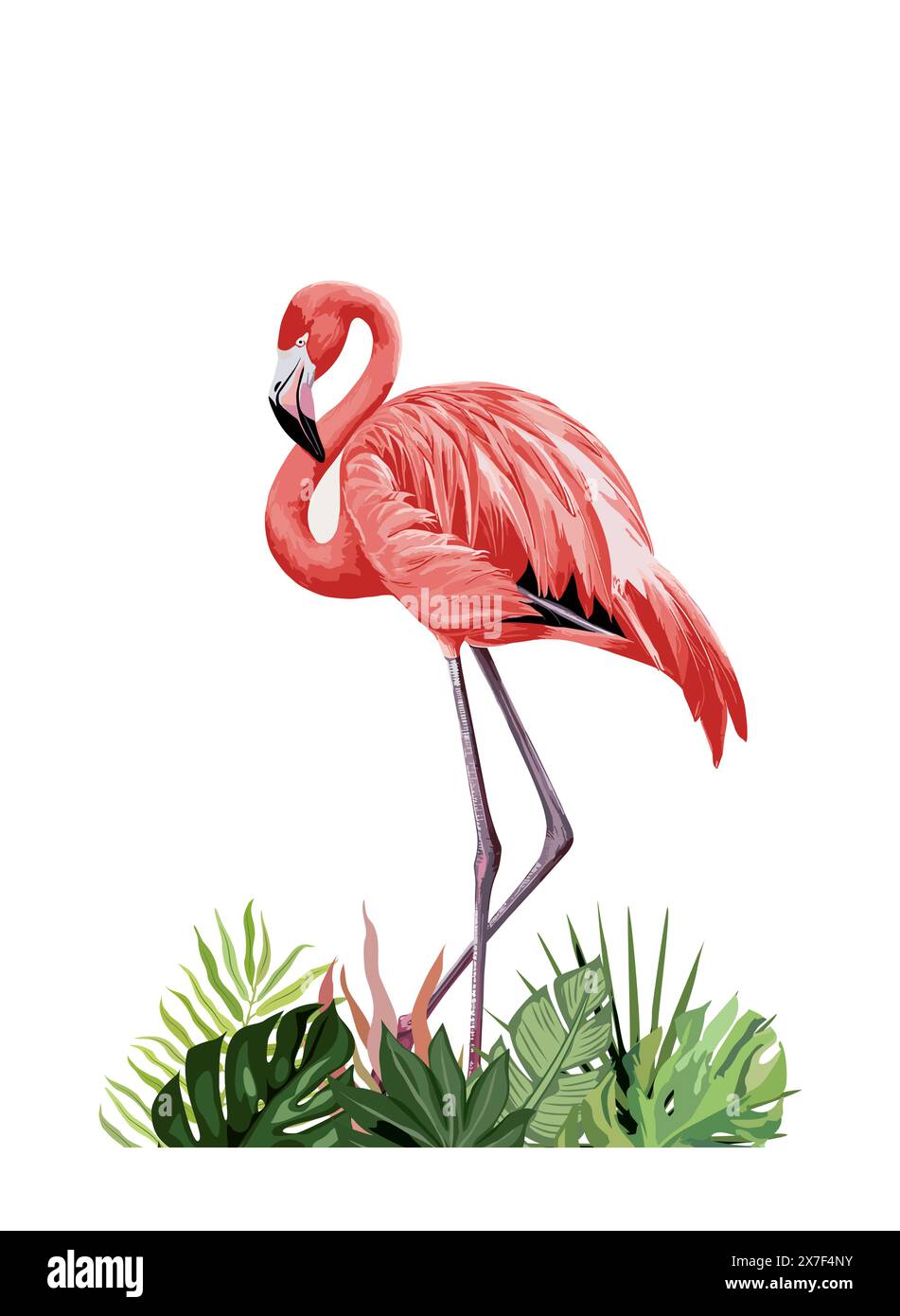Exotic pink flamingo bird with tropical leaves Stock Vector Image & Art ...
