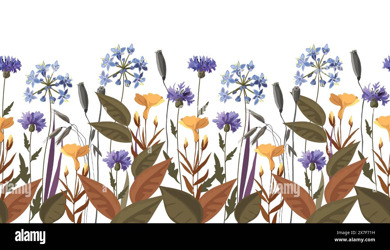 Floral seamless horizontal pattern, border with meadow flowers Stock ...