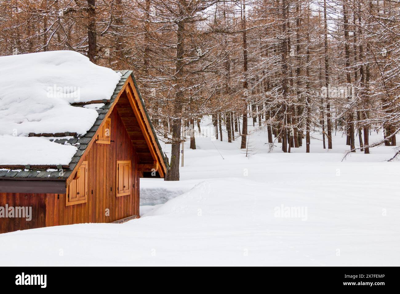 wooden cottage immersed in the forest covered in snow Stock Photo - Alamy