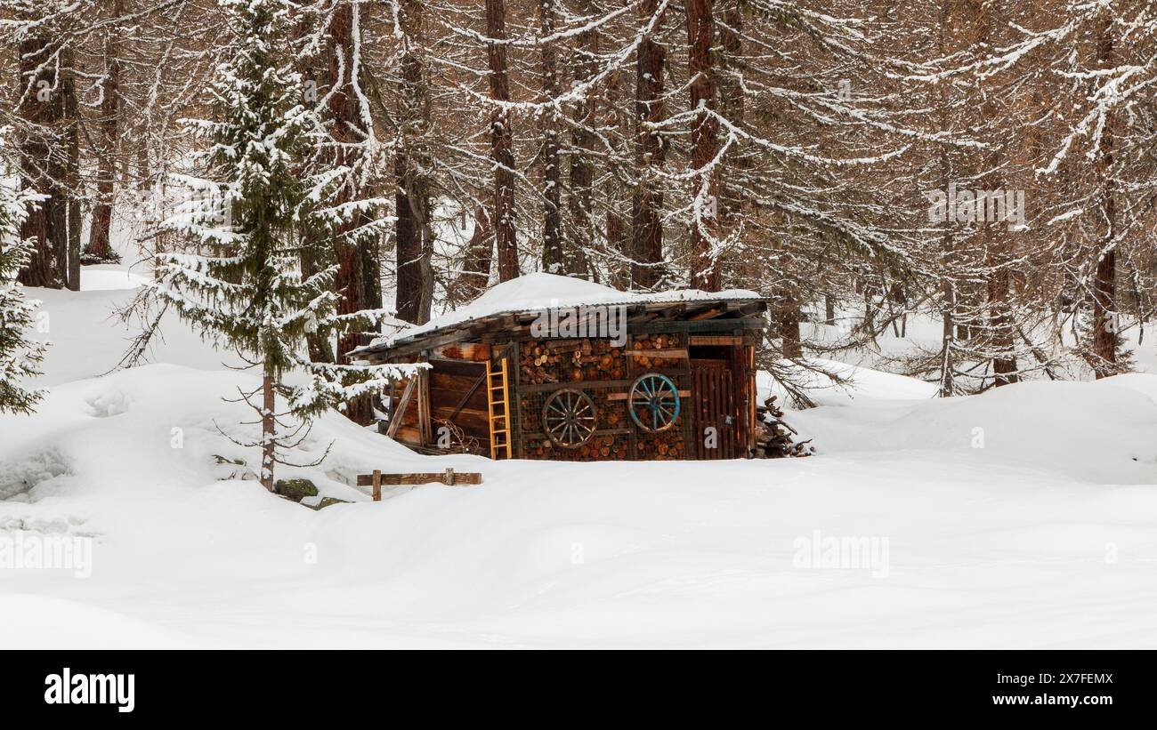 Old shed in snow hi-res stock photography and images - Alamy