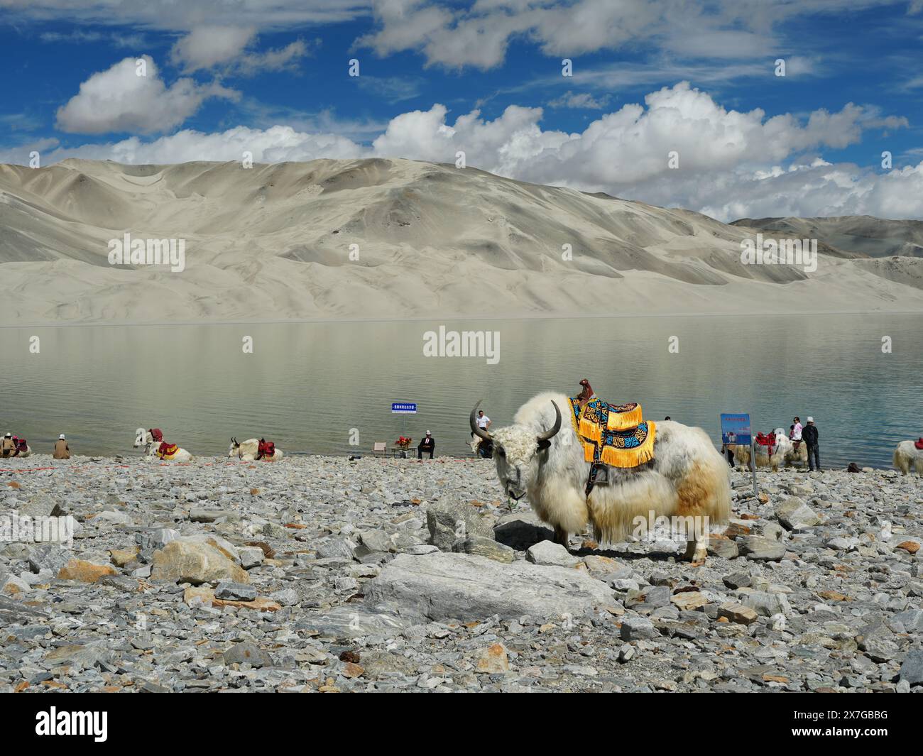 Urumqi. 19th May, 2024. This photo taken on May 19, 2024 shows a view of the Baisha Lake scenic area in Akto County, northwest China's Xinjiang Uygur Autonomous Region. May 19 marks the China Tourism Day. Credit: Dai Ziluan/Xinhua/Alamy Live News Stock Photo