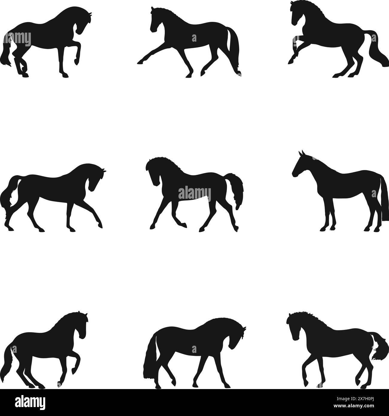 Horse set. Different types of movement Stock Vector Image & Art Alamy