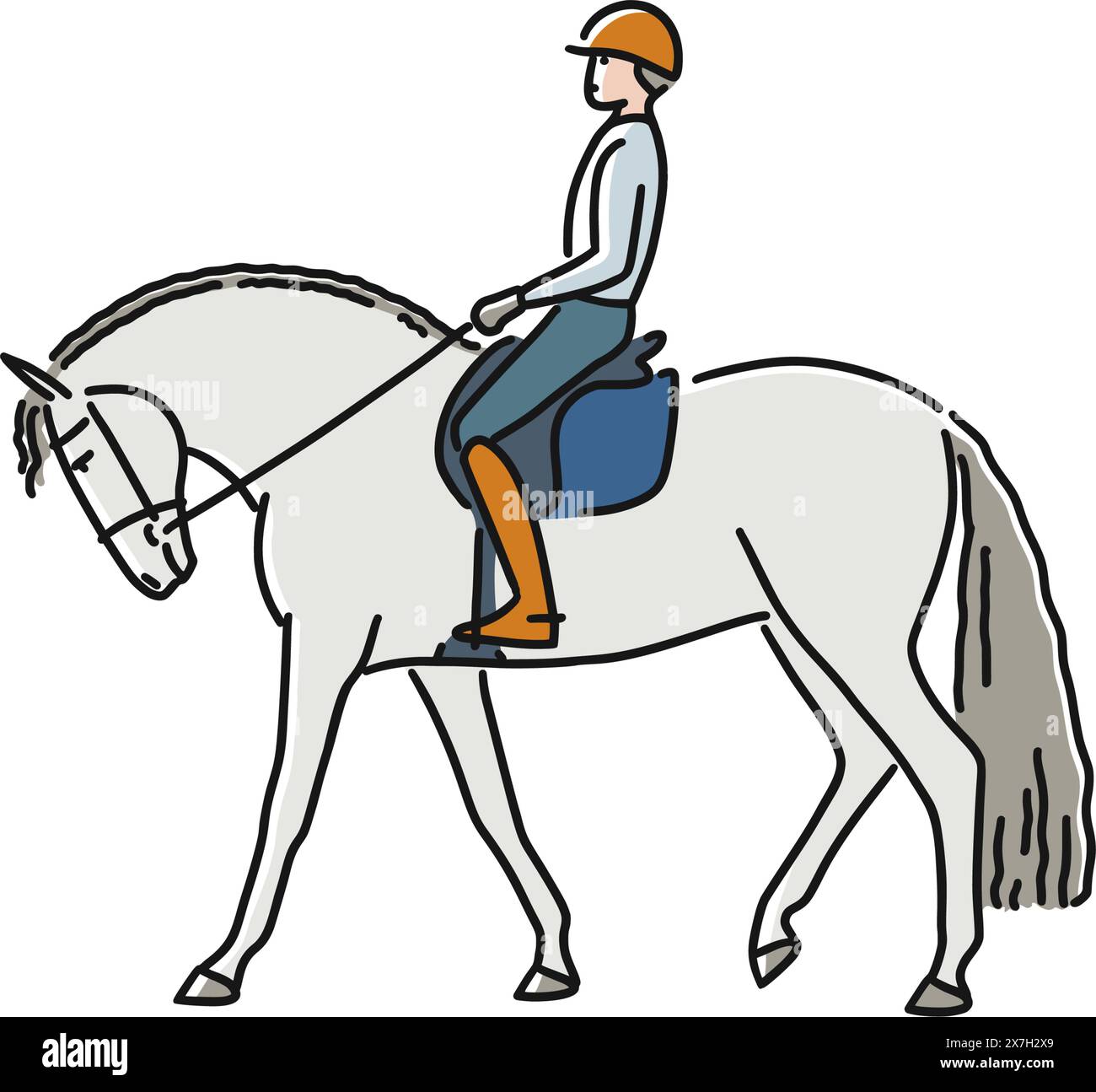 Young dressage rider man on horse isolated on white background. Vector ...