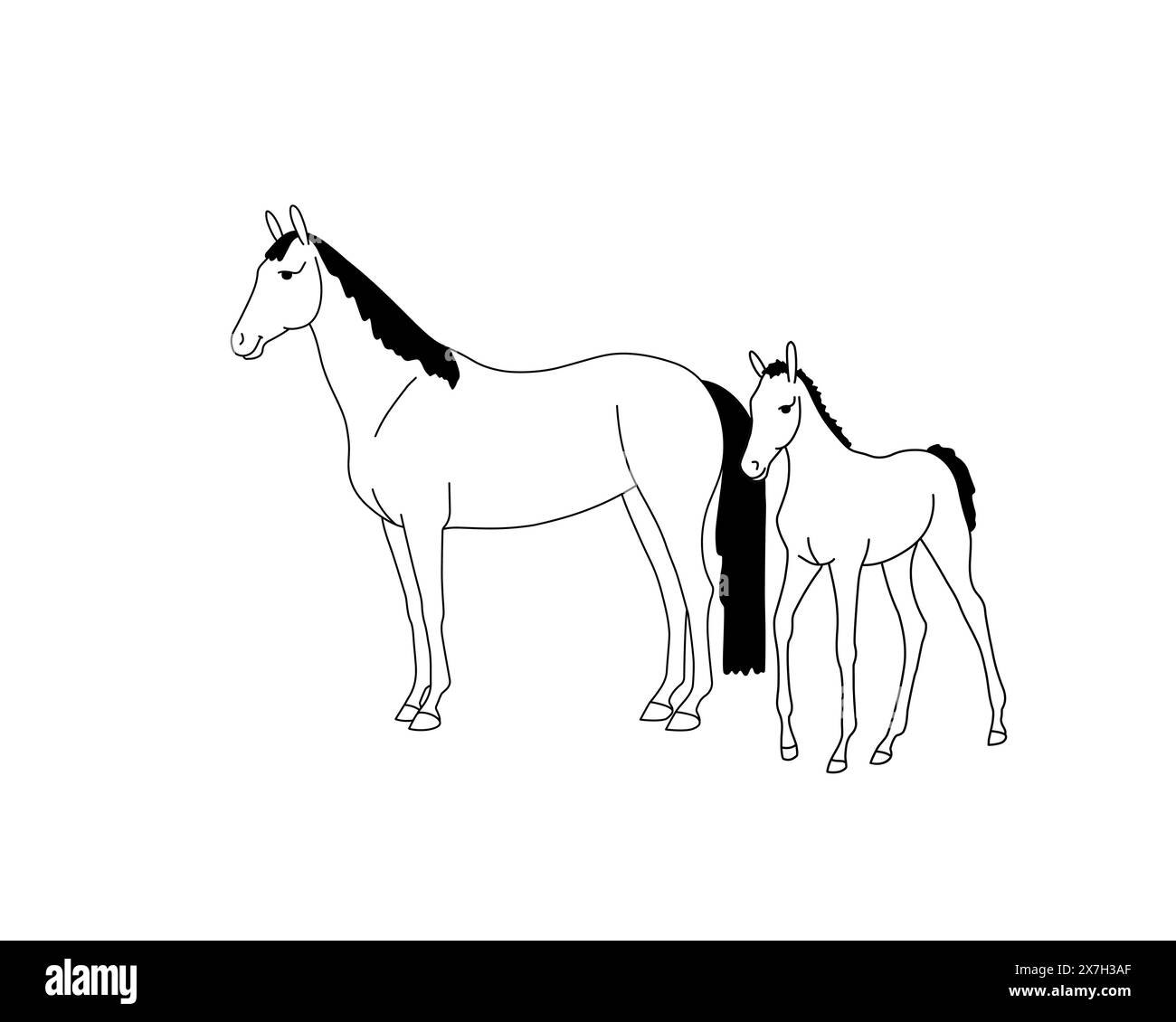 Horses baby with his mother, cute family illustration. Vector illustration Stock Vector