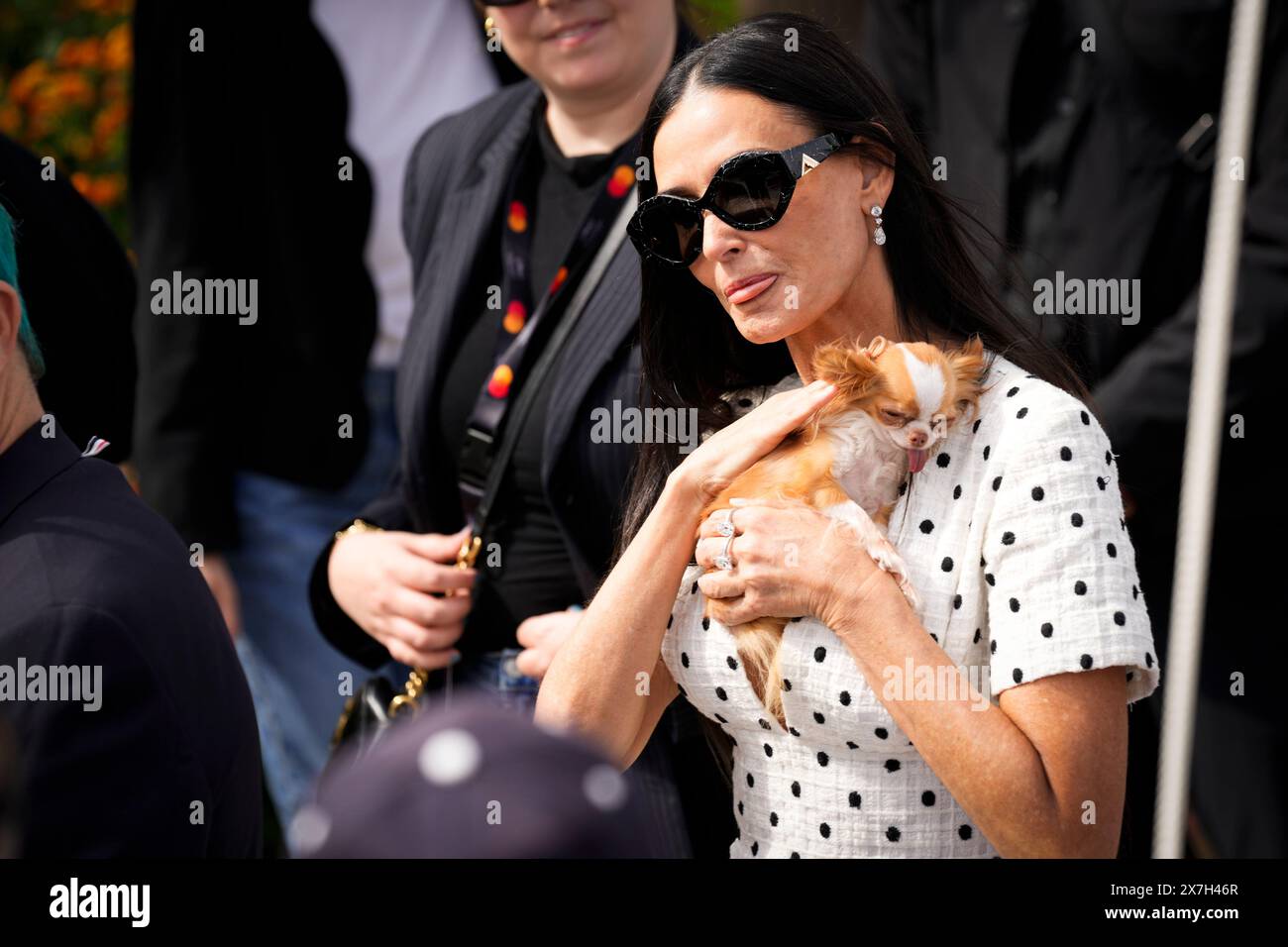 Cannes, France. 20th May, 2024. Demi Moore and her dog Pilaf during a photocall for the film ''The Substance'' at the 77th edition of the Cannes Film Festival at the Carlton Hotel in Cannes, southern France, on May 19, 2024 (Photo by Daniele Cifala/NurPhoto) Credit: NurPhoto SRL/Alamy Live News Stock Photo