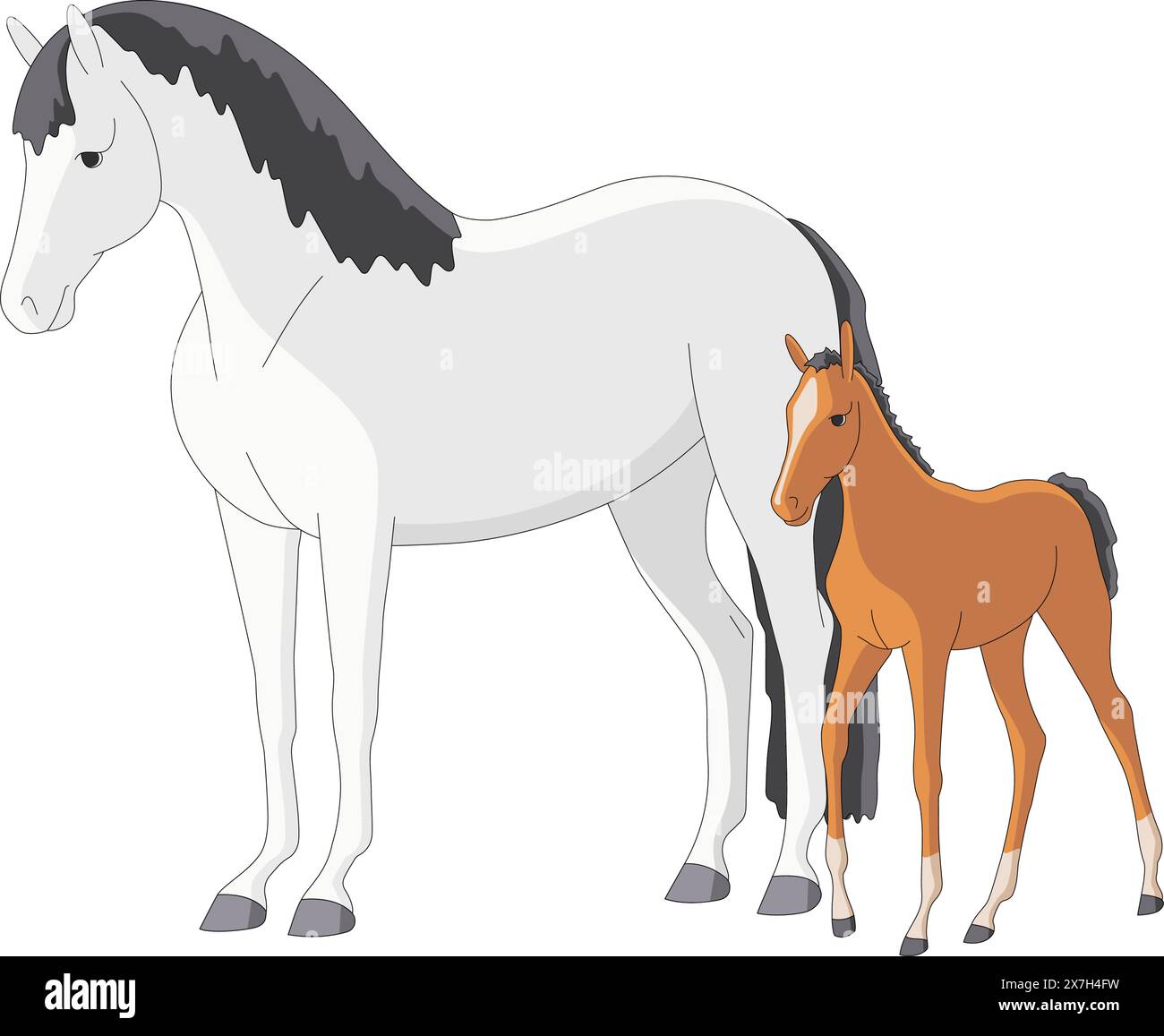 Beautiful mare with a newborn foal. Vector illustration Stock Vector