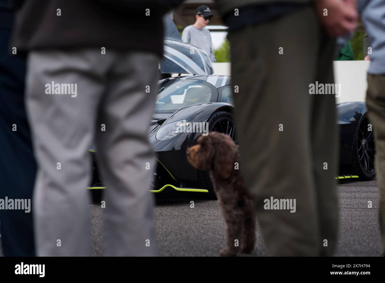 A dog and owners standing in front of an Aston Martin Valkyrie Hypercar at the 100th Breakfast Club at Goodwood motor racing circuit, Chichester,West Stock Photo