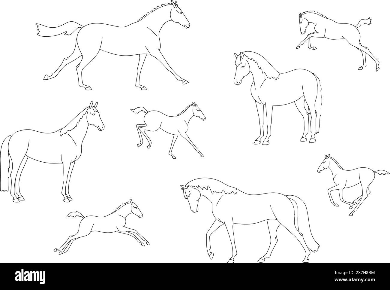 Collection of line images of free mares with foals, for colouring book Stock Vector