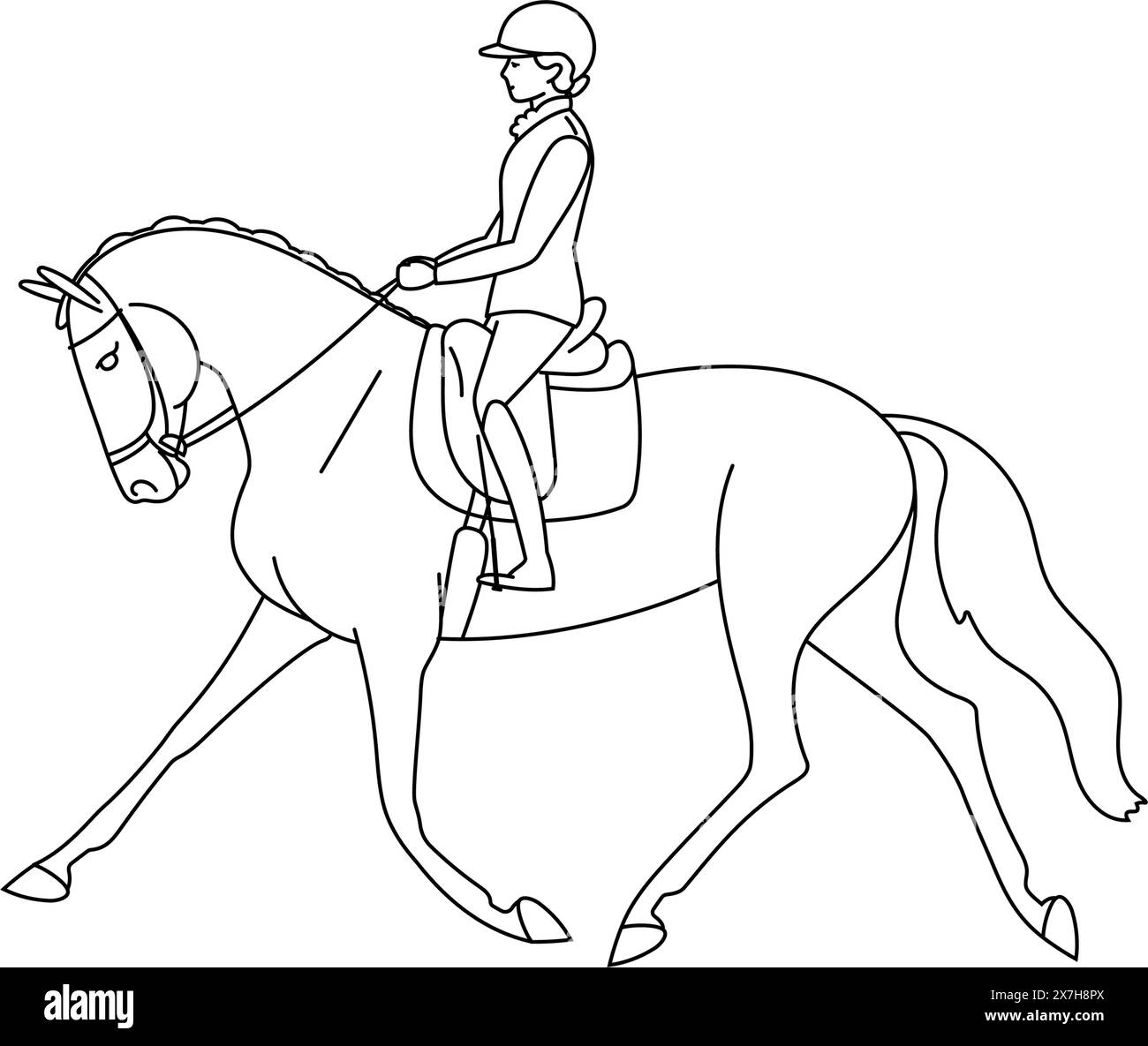 Beautiful horsewoman on a horse. Stock Vector