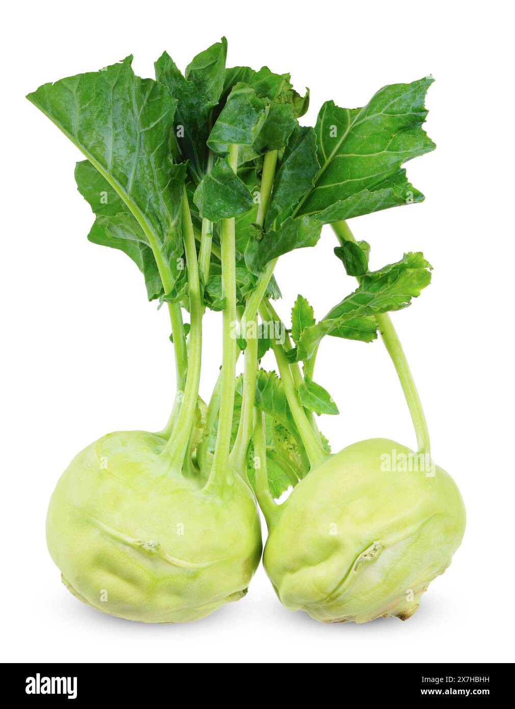 kohlabi isolated on white background. kohlabi clipping path Stock Photo