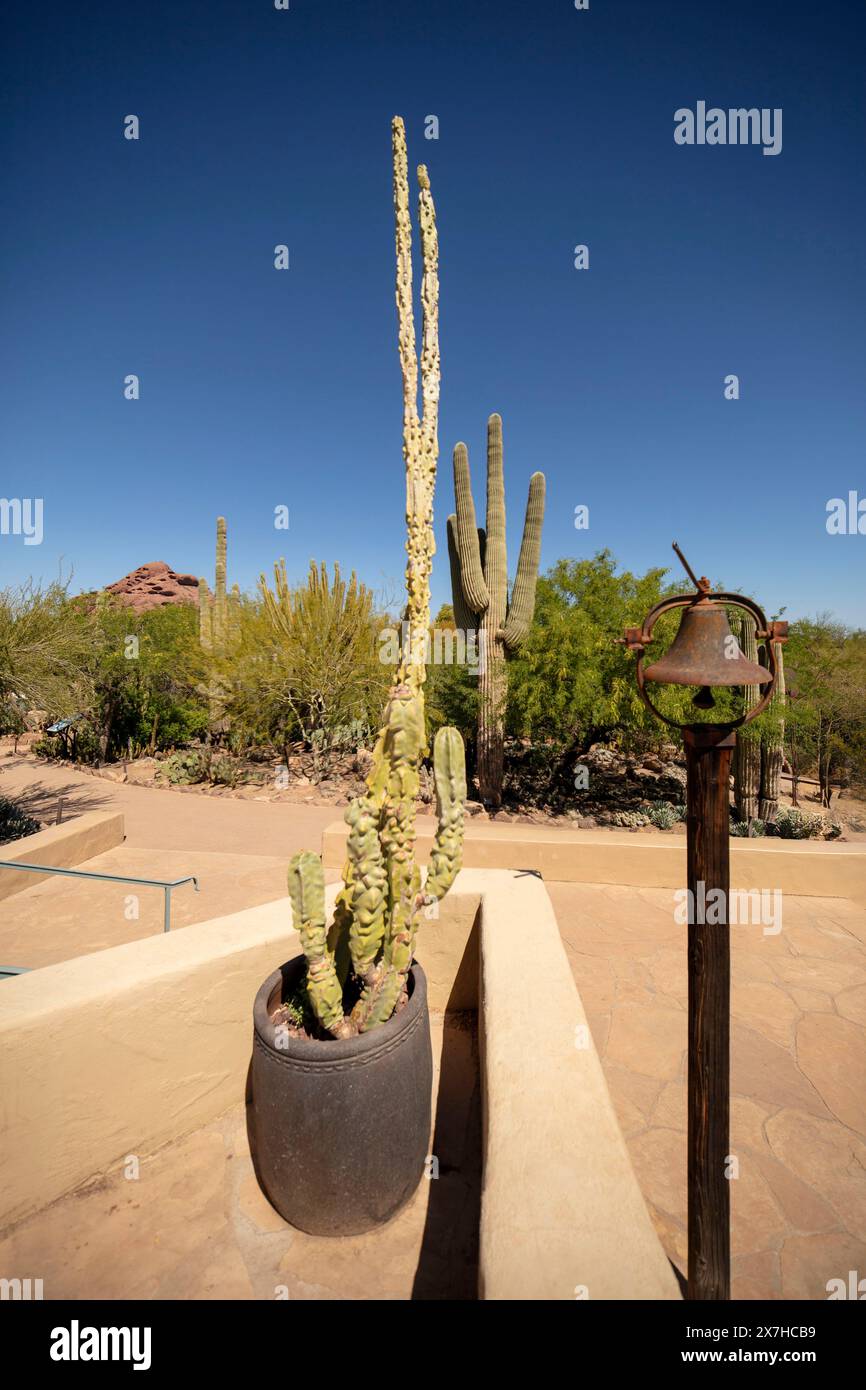 Understanding plant structures hi-res stock photography and images - Alamy