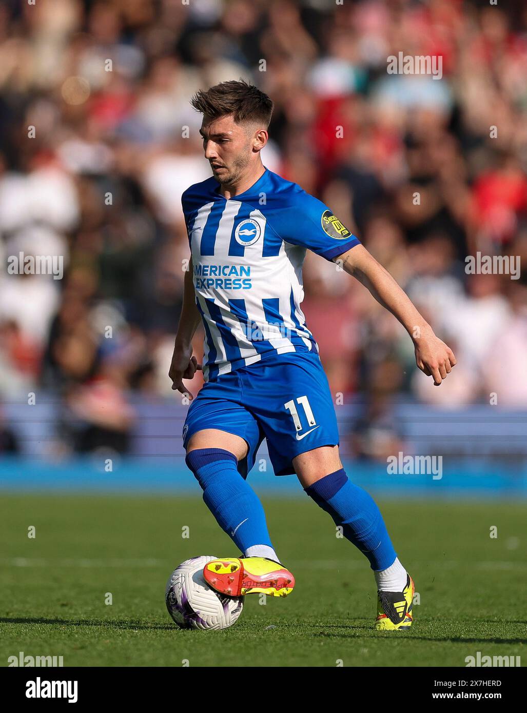 Brighton and Hove Albion's Billy Gilmour in action during the Premier League match at the Amex Stadium, Brighton and Hove. Picture date: Sunday May 19, 2024. Stock Photo