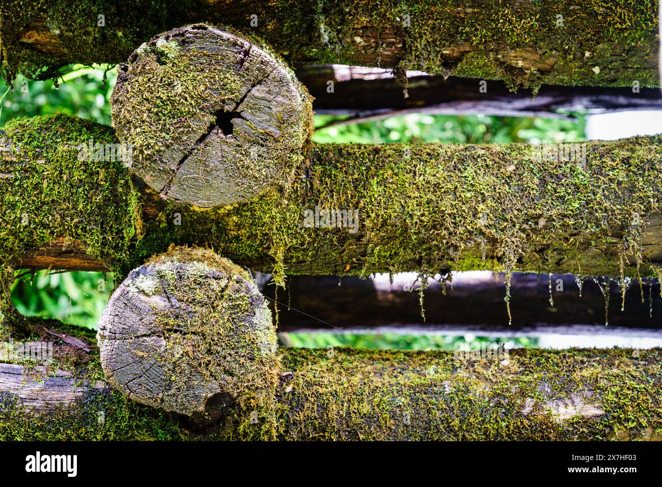 Close-up image of wooden support structure of Mingus Mill in North Carolina Stock Photo
