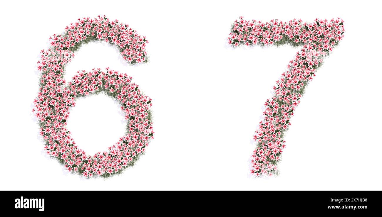 Number 7 with flower design hi-res stock photography and images