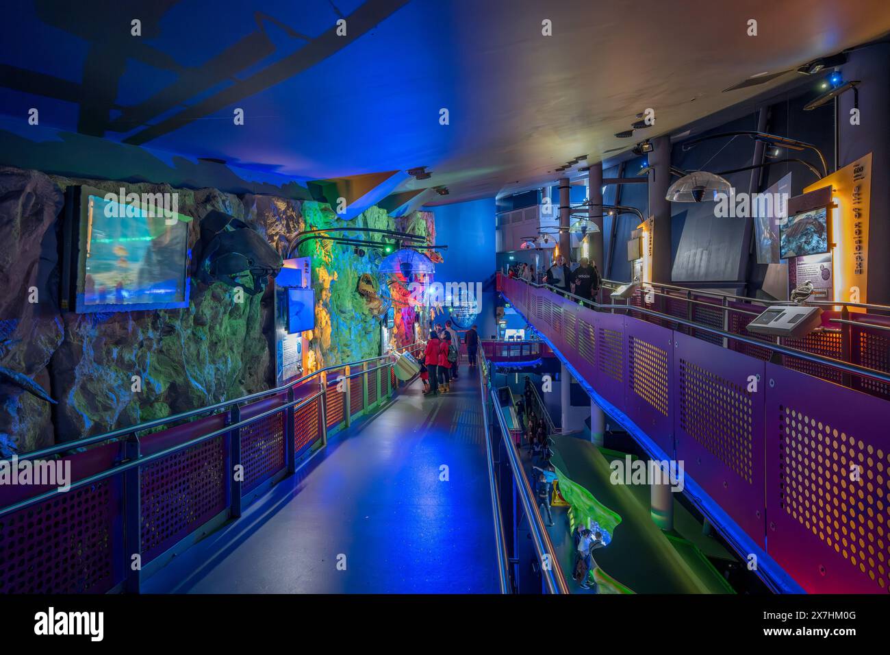 Interior of The Deep aquarium, Kingston upon Hull, Yorkshire, England